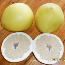 Good Quality of Fresh Sweet Pomelo